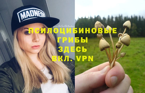 а пвп мука Баксан