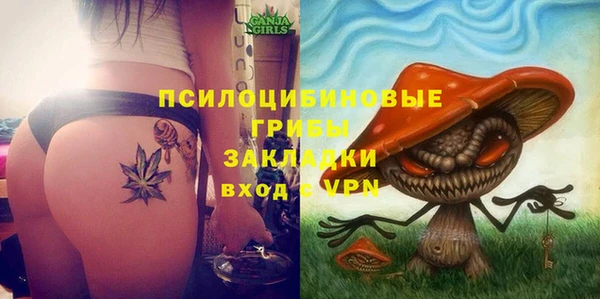 гидра Балабаново