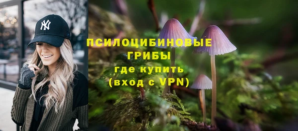 гидра Балабаново