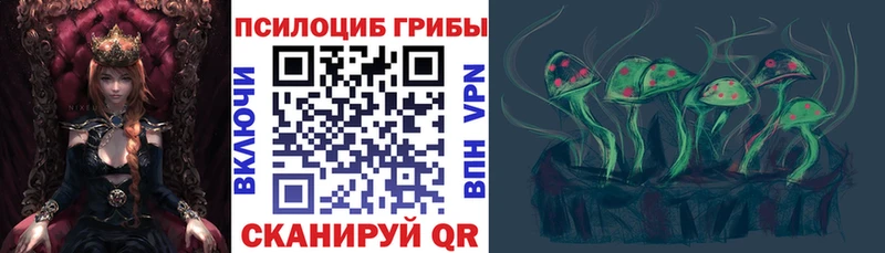 Псилоцибиновые грибы Psilocybine cubensis  купить наркоту  Нефтегорск 