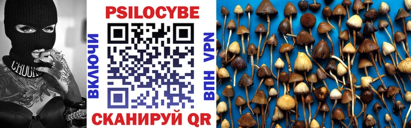 Псилоцибиновые грибы Cubensis Нефтегорск